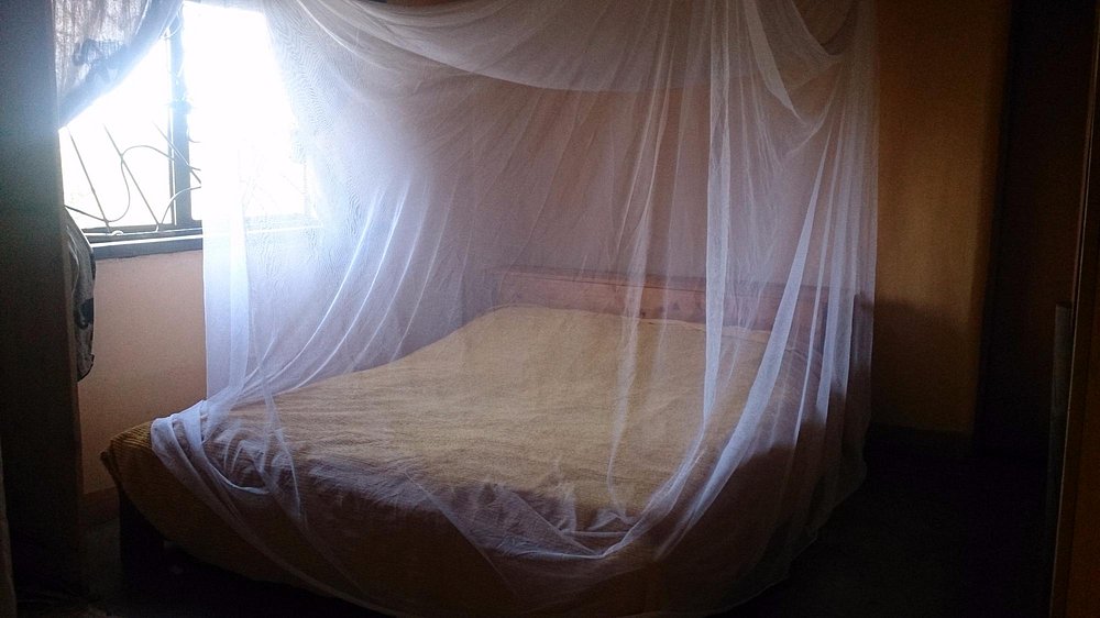 Silole Cottage bedroom with mosquito net and bush views